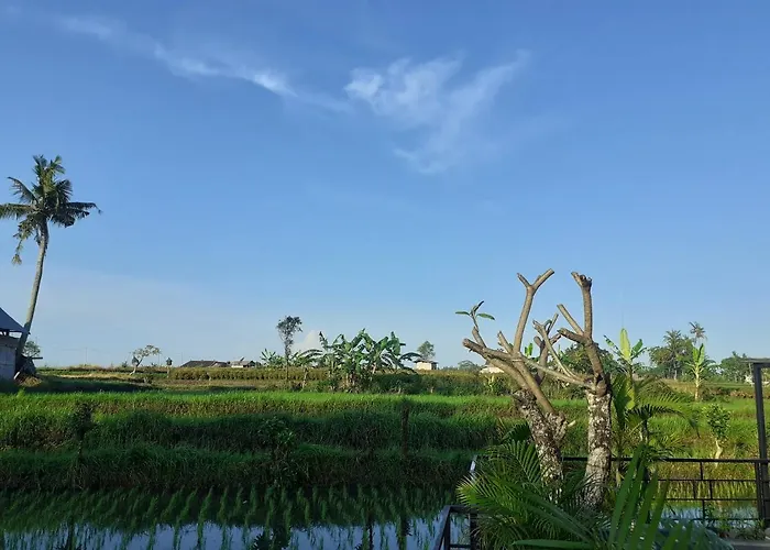 Griya Bun Sari ホテル *